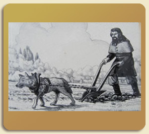 Vladyko Joan